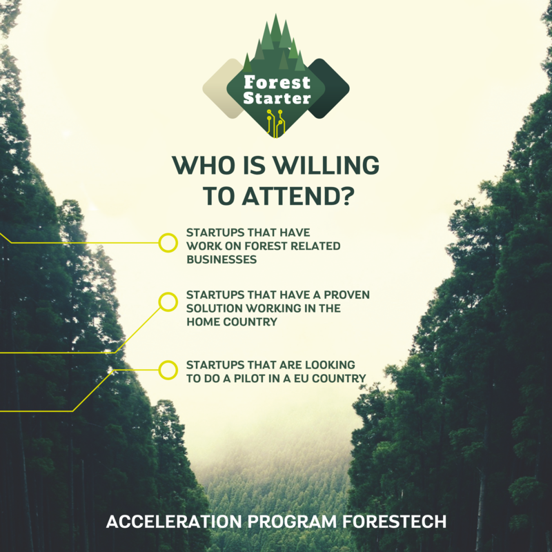 Programa de aceleración Forest Starter