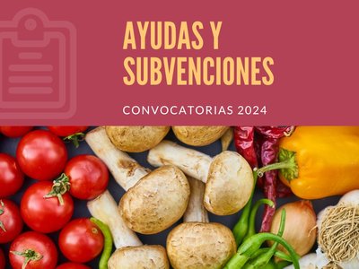 Ayudas y Subvenciones para 2024 Comunitat Valenciana