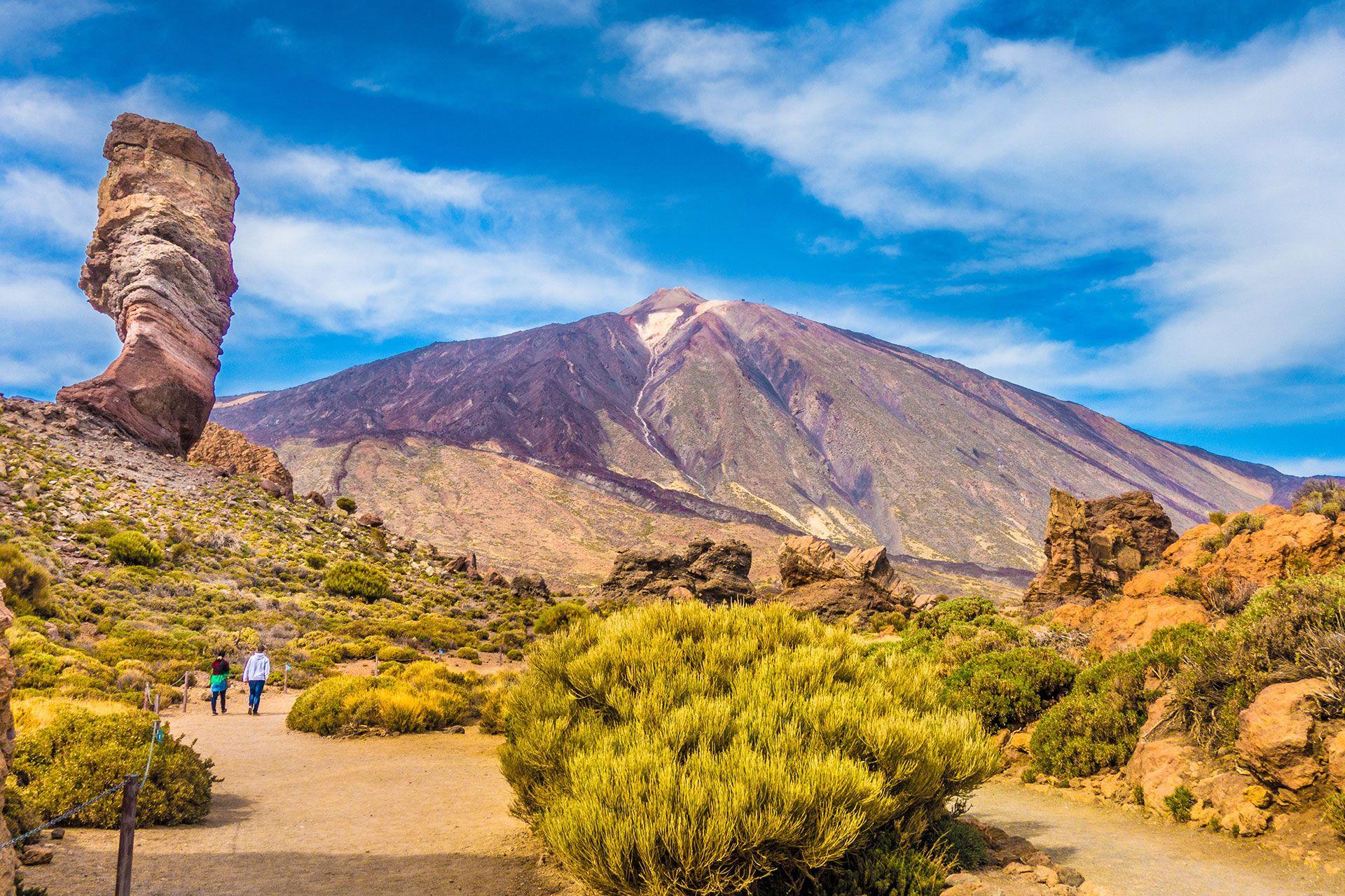 Tenerife Excursions 365