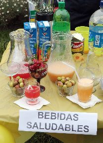 bebidas saludables