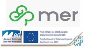 Logo MER+MED