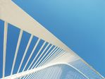 2010.Cooperaci�n