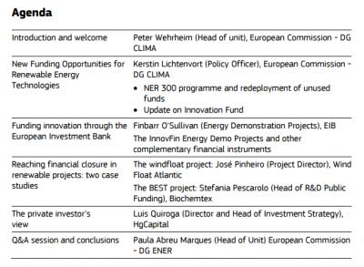 Agenda-European leadership in Renewables