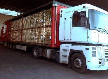 Transporte paletizado