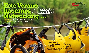 networking web verano