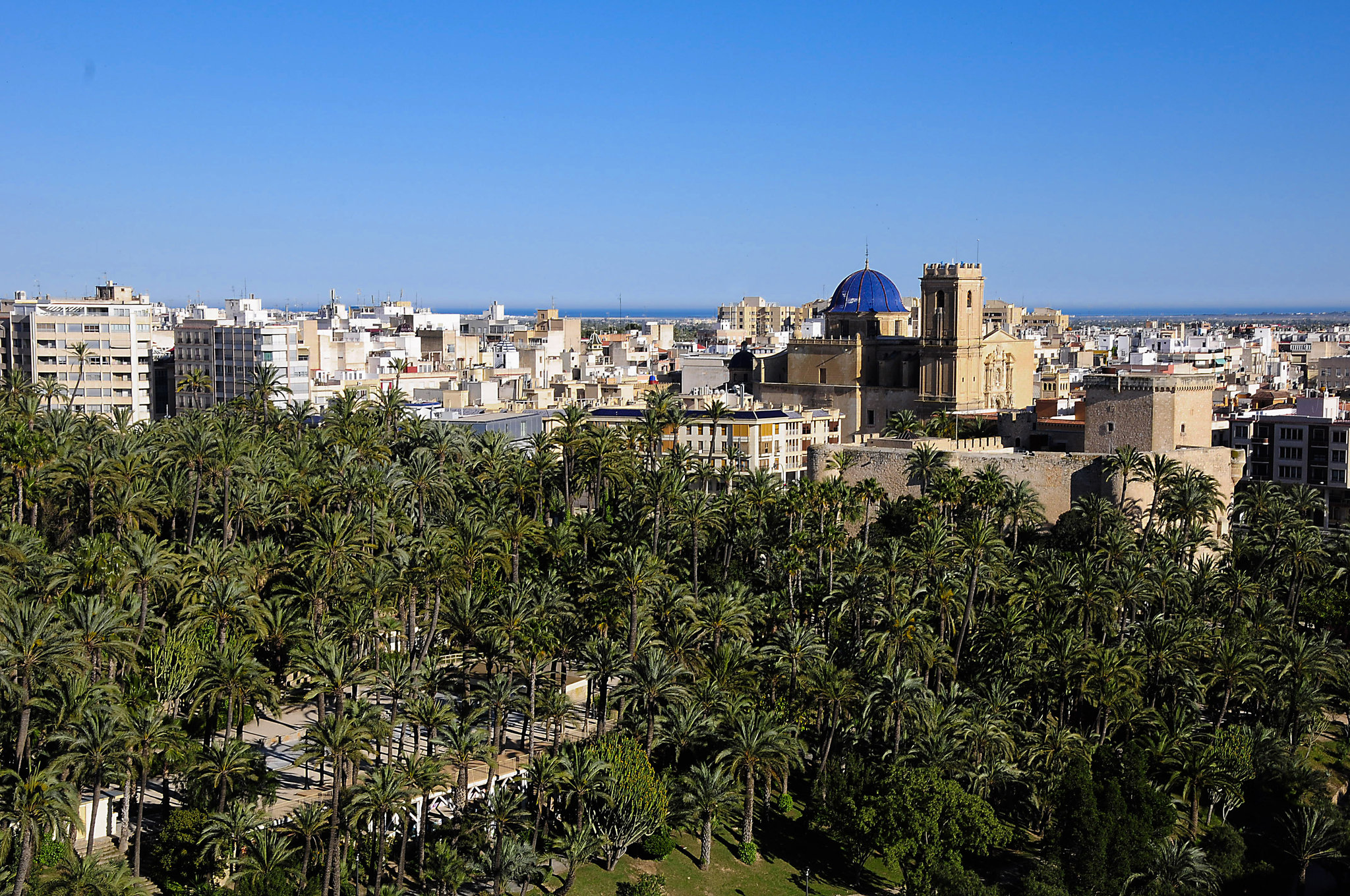 Cerrajeros Elche de Arregla2