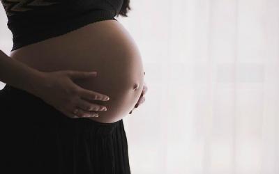 Embarazo y alimtanci�n