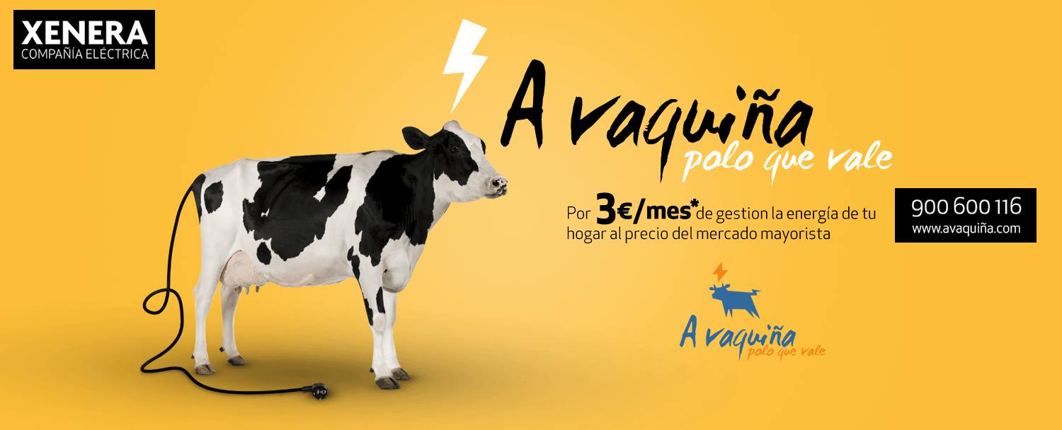 XENERA Compañía Eléctrica