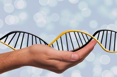 Beneficios del Test Genético
