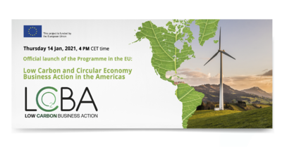 Low Carbon and Circular Economy Business Action