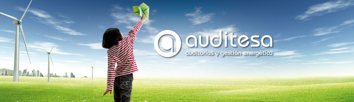 Auditesa S.L.