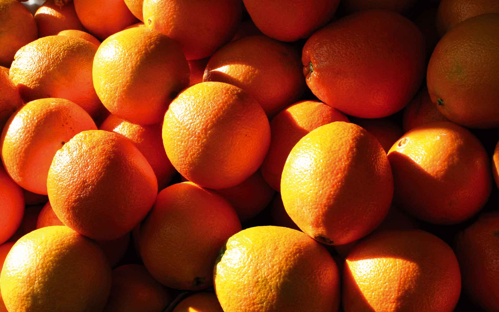 Frutas Tono S.L.