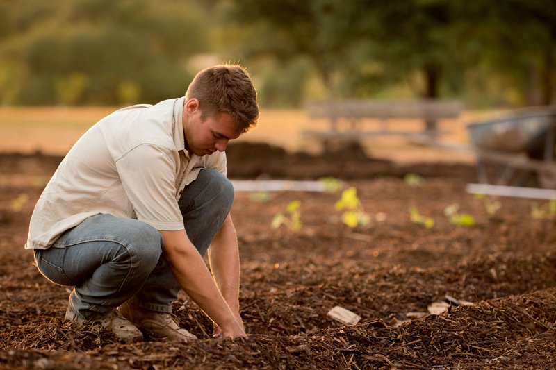 Formación Agraria y Manipulación de Alimentos 👨‍🌾👨‍🌾